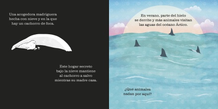 Océanos. Un libro para iluminar