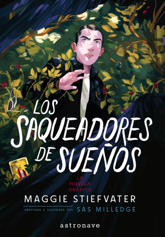Los saqueadores de sueños